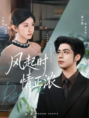 风起时情正浓（79集）热门火爆短剧