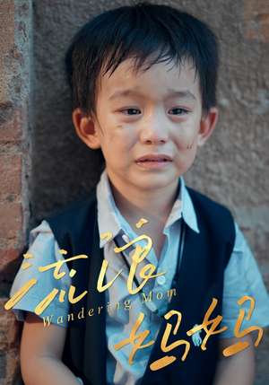 【流浪妈妈】30集短剧免费在线完整看