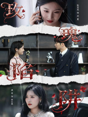 玫瑰陷阱（40集）全集一次看完