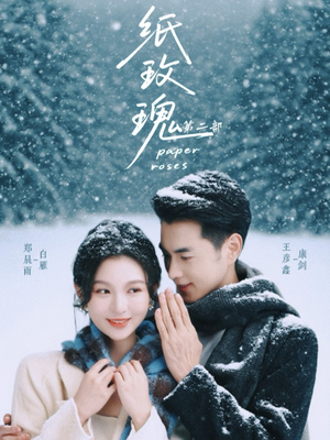 纸玫瑰第二部（80集）哪个短剧网能看