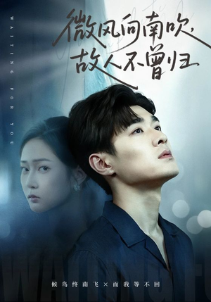 微风向南吹，故人不曾归（72集）常回家看看短剧