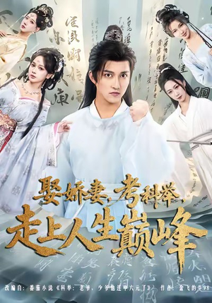 娶娇妻，考科举，走上人生巅峰（80集）全部免费看全集