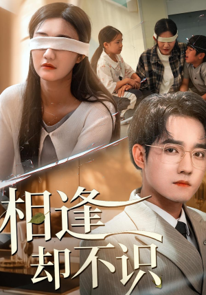 相逢却不识（77集）好看的国产短剧