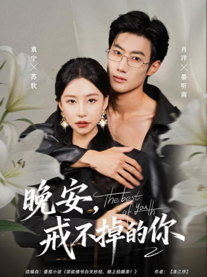 晚安，戒不掉的你（68集）去哪里看