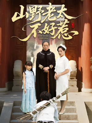 【奶奶一脚震全城】64集短剧免费在线赏看