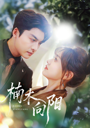 楠木向阳（70集）分享热门短剧