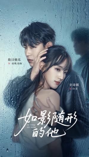 如影随形的他（30集）在线看免费版