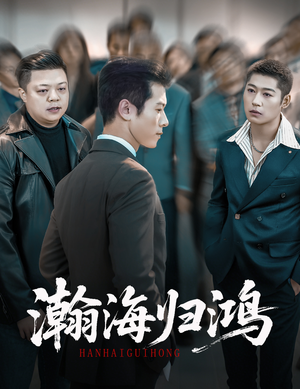 瀚海归鸿（74集）短剧免费分享