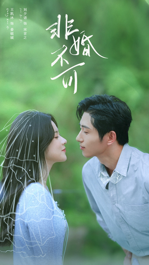 非婚不可（65集）在线看到大结局