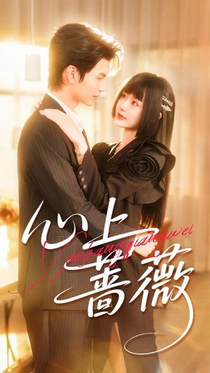 心上蔷薇（100集）在哪个平台看好