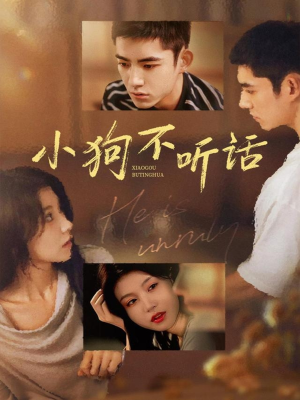 小狗不听话（70集）民国短剧推荐