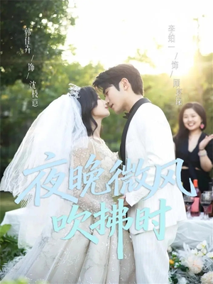 夜晚微风吹拂时（61集）精彩的短剧