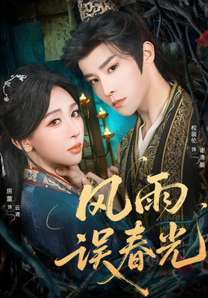 风雨误春光（58集）360网盘观看