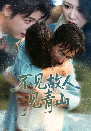 不见故人见青山（91集）热播短剧追不停