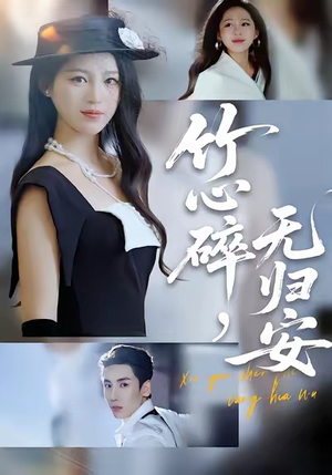 竹心碎，无归安（60集）百度网盘资源