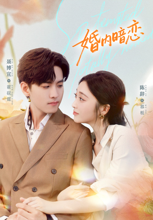 婚内暗恋（80集）剧情简介