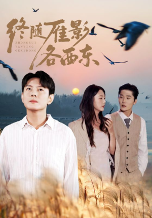 【终随雁影各西东】86集免费短剧全集速览
