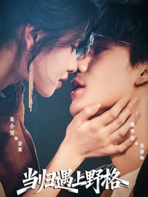 当归遇上野格（66集）看过的人都说好