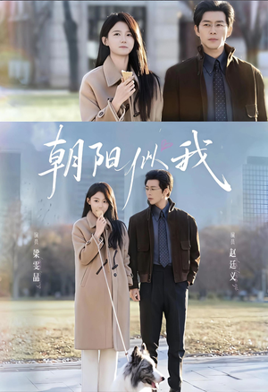 朝阳似我（81集）热播短剧全集看