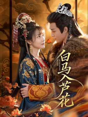 【白马入芦花】59集短剧全集免费在线速看