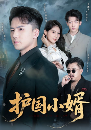【护国小婿】60集短剧全集免费线上看