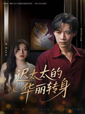 迟太太的华丽转身（80集）短剧上头又好看