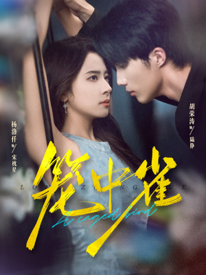 笼中雀(65集) 笼中雀(65集)快来看短剧