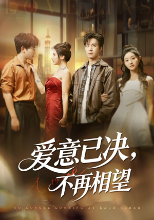 爱意已决不再相望（70集）看到了大结局
