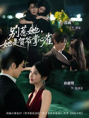 别惹她，她是贺爷掌心雀（69集）悬疑短剧推荐