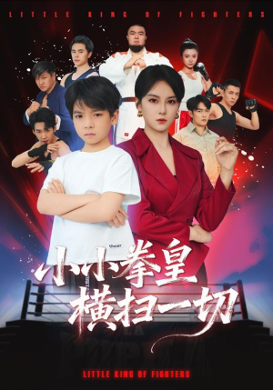 小小拳皇横扫一切（60集）全剧免费观看