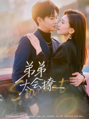 【弟弟太会撩】81集全集短剧在线免费观看