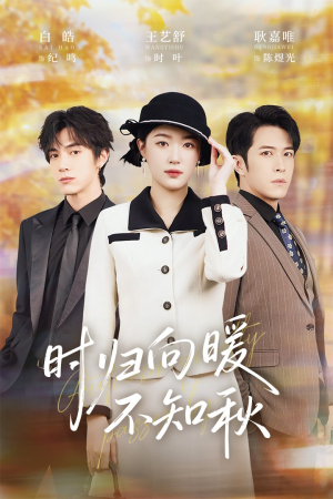 时归向暖不知秋（51集）最火的短剧