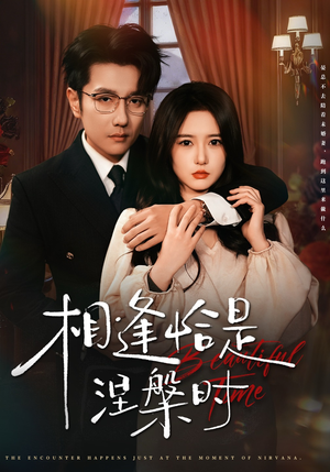 【相逢恰是涅槃时】63集在线短剧免费全集赏