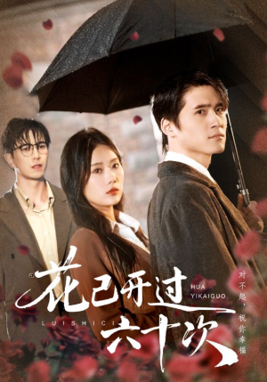 【花已开过六十次】72集网盘短剧在线免费览