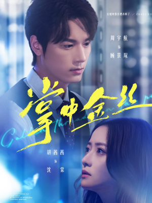 长姐她竟是隐藏大佬（60集）短剧越看越精彩