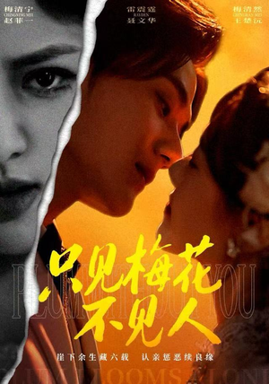 【只见梅花不见人】63集短剧免费全集欣看