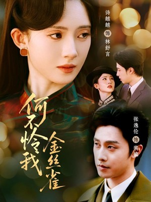 【何不怜我金丝雀】60集短剧在线完整看