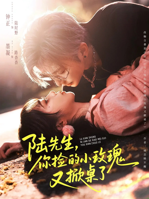 【陆先生，你捡的小玫瑰又掀桌了】74集高清短剧免费在线看全