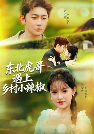 【东北虎哥遇上乡村小辣椒】67集短剧免费高清观看