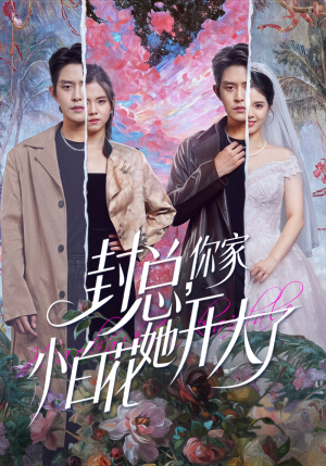 【封总，你家小白花她开大了】60集完整短剧免费赏观