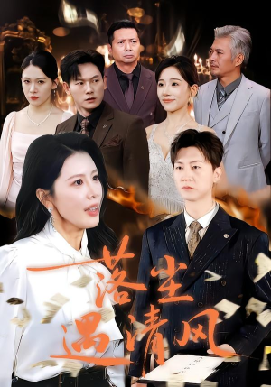 离婚而已（74集）让你一口气看完