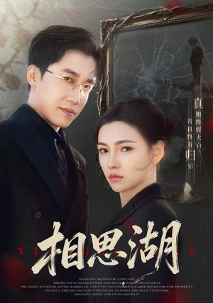 相思湖（66集）短剧推荐上热门