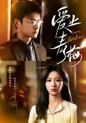 【爱止青梅】60集短剧全集免费在线速看