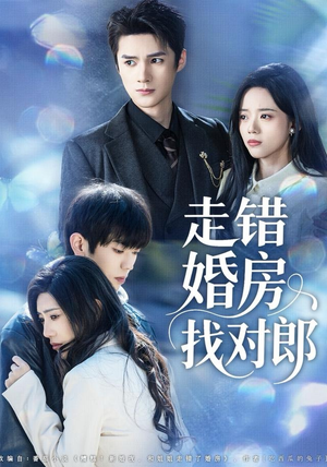 【走错婚房找对郎】50集优质短剧免费在线直看