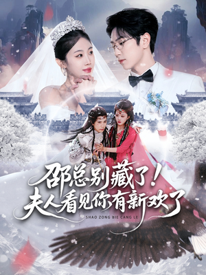 邵总别藏了！夫人看见你有新欢了（70集）解说