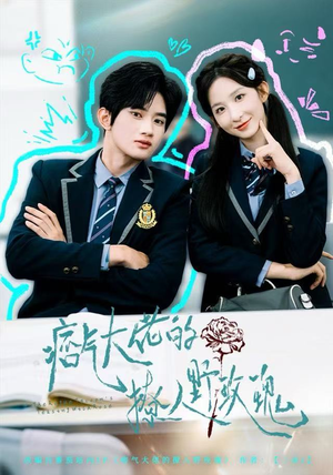 【痞气大佬的撩人野玫瑰】80集短剧在线免费完整赏