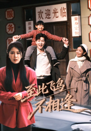 【至此飞鸟不相逢】70集短剧免费在线观看全集