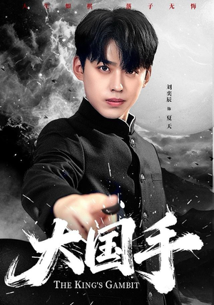 【大国手】76集短剧全集在线免费赏