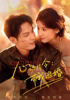 【心动指令：带我逃婚】61集免费短剧网盘资源观看