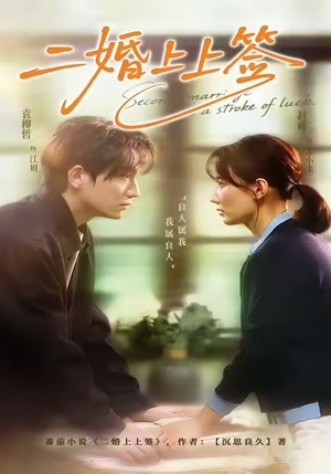 【二婚上上签】71集短剧免费全集观览